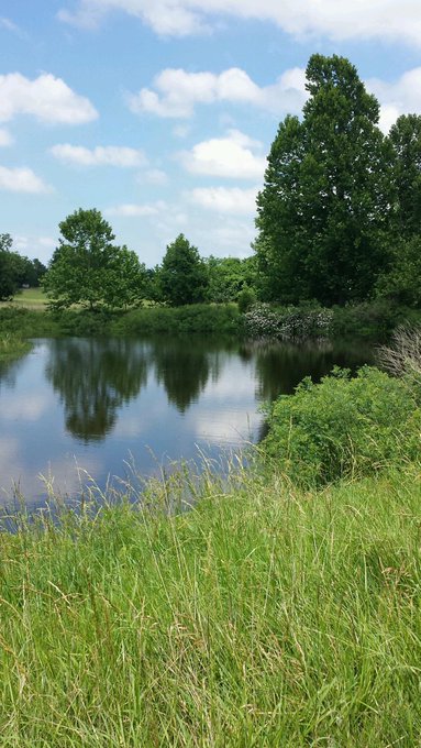 Scenery http://t.co/qo9LXA8E1J