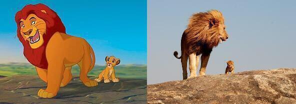 Real life Mufasa and Simba: