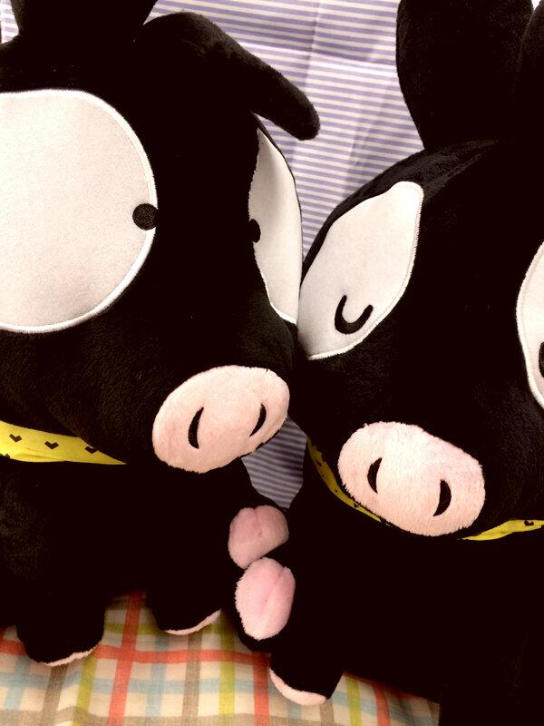 キャラとる らんま1 2 Pちゃんbigぬいぐるみ も６月中旬に登場予定デス もっふりでかかわいい 限定店舗のみの展開デスので見つけたらすぐゲットをオススメしマス Pちゃん らんま Http T Co Aes4g8mkbh Http T Co Lx1u7y5ztk