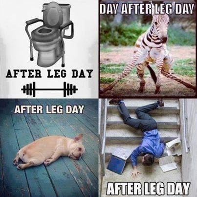 GymThings's tweet photo. How leg days usually look afterward http://t.co/Z7k8dyjAUh