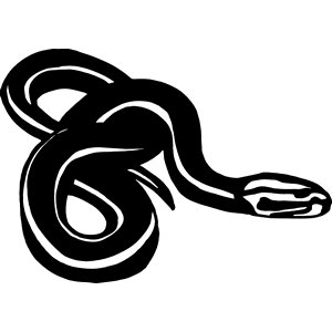 DecalStore's tweet image. #BlackSnakeDecal 0 is high performance vinyl.One can custom cut VinylDecal to any size &amp;amp; color.tinyurl.com/nmvnxey