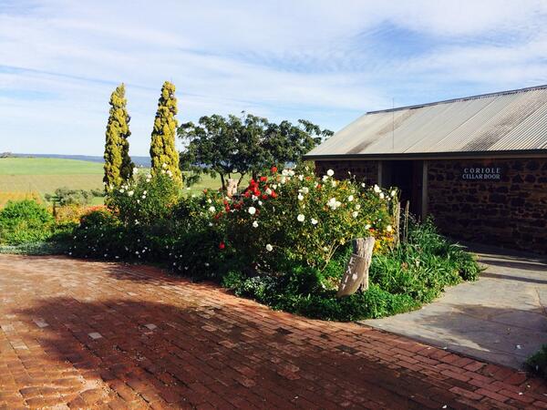 The festival may be over but it's still a stunning day in #mclarenvale! <a href="/coriole/">Coriole Vineyards</a>