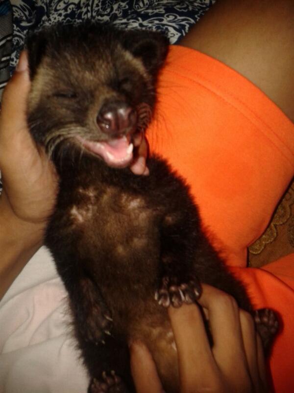 nyenyes's tweet photo. Jadi sekaghang lagi musim melihagho yg aneh-aneh? Hmm.. http://t.co/hKtP8HeoTT