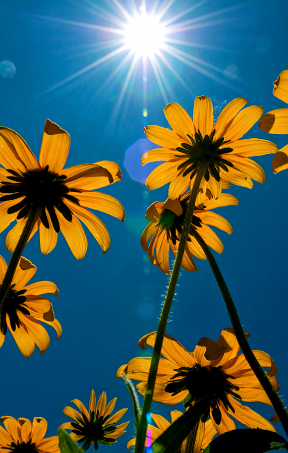 Hayırlı, mutlu ve huzurlu sabahlar... Good morning (: