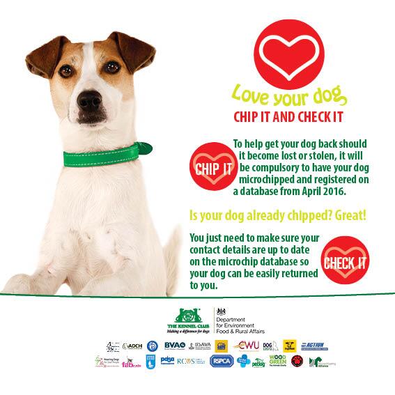 DefraGovUK's tweet photo. LdM βA microchip makes it much easier to reunite a dog with its ownerβ #ChipItCheckIt #NMM #chipmydog @KCLovesDogs http://t.co/fVTT3pwD9Z