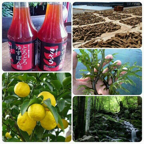 土佐ガンコ市場#キリンサイgankoichiba.jp