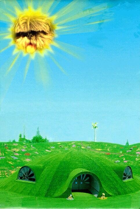Teletubbies Wallpaper New Wallpapers