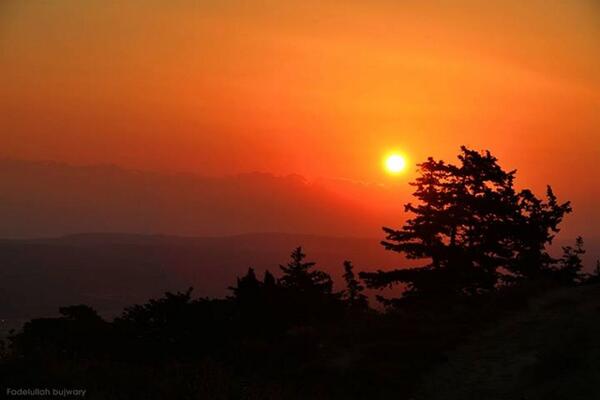 Embedded image permalink