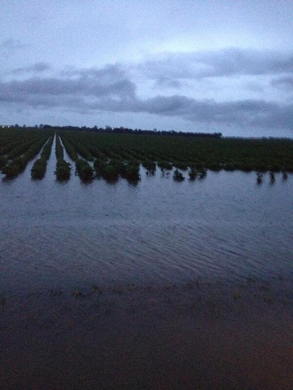 Going to be out of the field for a day or two.