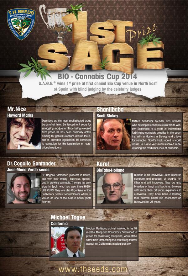 T.H.Seeds_Amsterdam tweet media