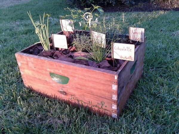 Presentamos la colección otoño-invierno en cartelitos para tu huerta.