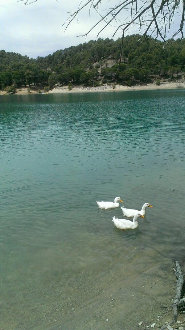 lolipedroche's tweet photo. Placeres de la vida!! http://t.co/ews4FB7voy