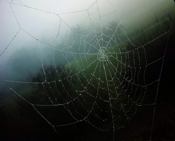 indiefone's tweet image. #iphoneography by Lezzueck Asturias Coosemans #indiefone