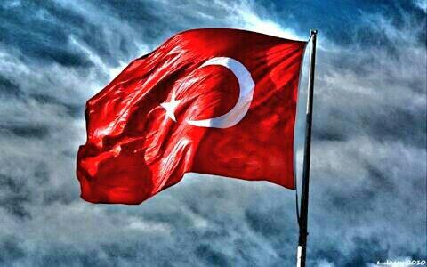 komando komando tweet media