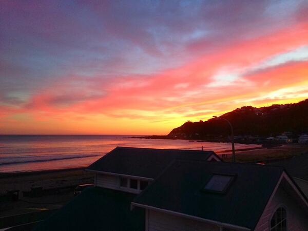 We've got some of the best sunsets right outside our window in @lyallbaynz <a href="/WildBayNZ/">Wildbaynz 🌻🌼🌺</a> @Wellington_NZ #nzmustdo #lp