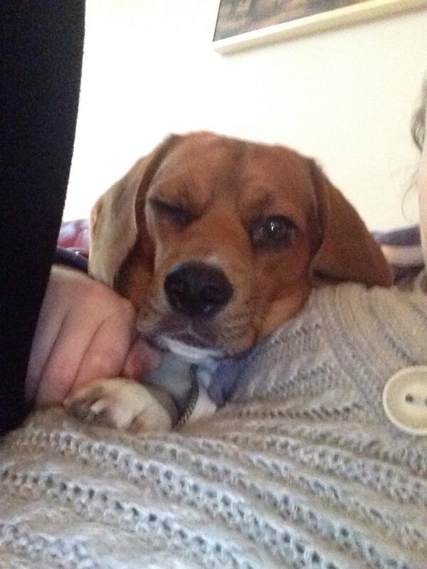 Hey sweet cheeks 😉