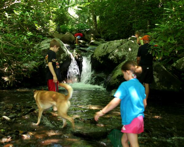Join us 4our Kids in the Creek hike 6/14! Free &amp; open to the public email Anna@appalachian.org 4more info. #avlnews