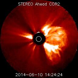 Ver imagem no Twitter