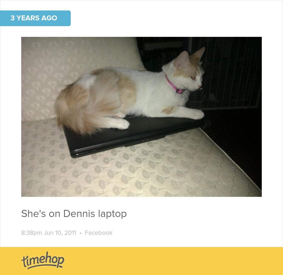 Embedded image permalink