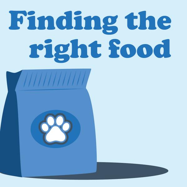 ClevelandVet400's tweet photo. It can be confusing to pick a pet food! Let's help you pick the right food to keep your pet healthy! #pethealth http://t.co/WXJlKyfeIu