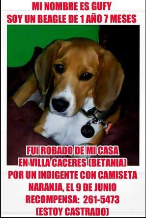 Fundación San Francisco de Asís ( FUNDASIS ) tweet media