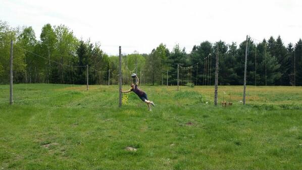 Schoenwetter Brewing (@schoenwetternow) on Twitter photo 