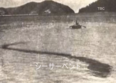 未確認生物図鑑 シーサーペント 海にこんな巨大な影が映ったら驚くわ 正体は巨大深海魚説 巨大海蛇説 未確認生物説など 各種あり Http T Co Zknhswxke1 未確認生物図鑑 シーサーペント 海にこんな巨大な影が映ったら驚くわ 正体は巨大深海魚説 巨大海蛇説 未確認生物説など 各種あり Http T Co Zknhswxke1