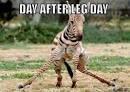 Lol! RT @thebonginator Post leg day and 5 setter at mens league got me like ... #diefatdie #fitnessrehab:-)