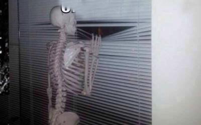 ConnyRACING's tweet photo. #F1HUMOR 

....esperando las mejoras de Ferrari http://t.co/cBmwm1QAYO