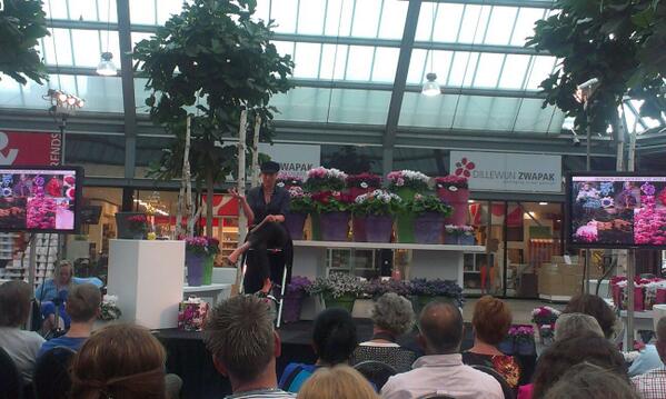 #jetteke <a href="/Flowertrials/">FlowerTrials</a> <a href="/Pyramide_CC/">Pyramide</a> bloemistenavond <a href="/Schoneveld_NL/">Schoneveld Breeding</a> en Selecta