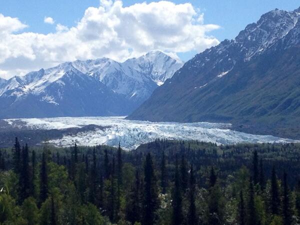 ccinmo's tweet image. #alaska #glacier #brokenlegvaca