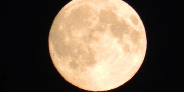 Moon Phases tweet media