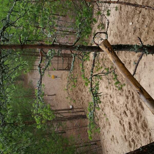 DiscGolfDummies's tweet image. Finding my way to the "hole" in #Nummela. #frisbeegolf #discgolf