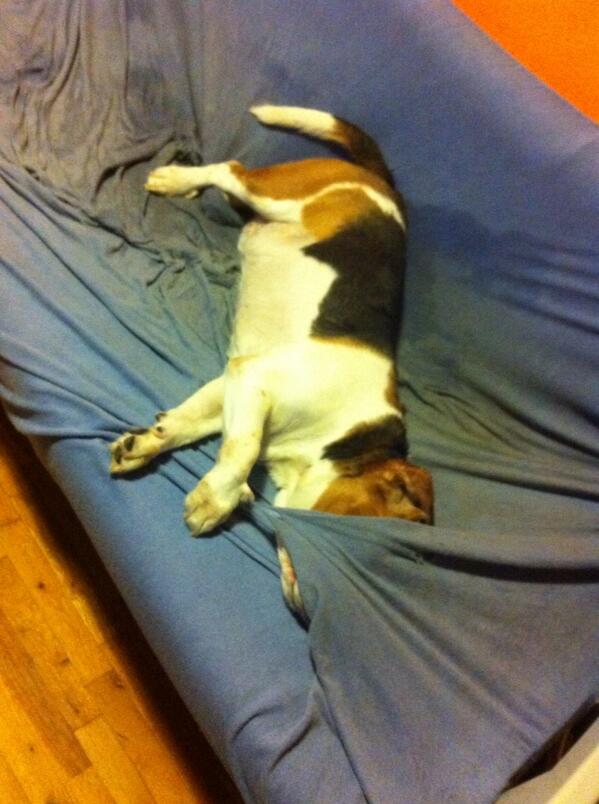 After bath madness...