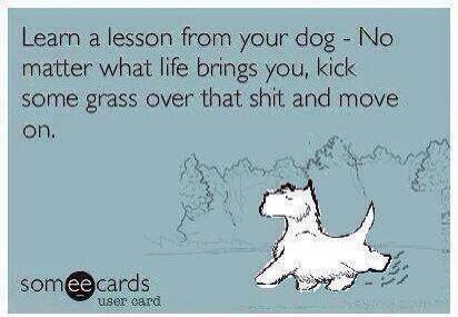 deevee1's tweet image. One of those days!! #notworkrelated #grrrrr