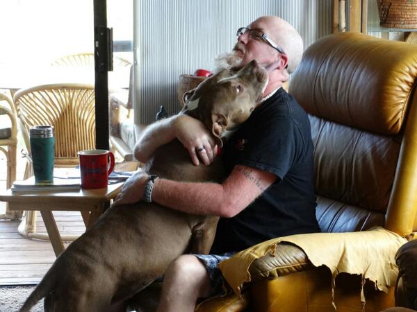 MikeVoytko's tweet photo. Even big babies need hugs. Yes I ment me :)  #inspiredbypets #pitbull http://t.co/WJdOdeAmce