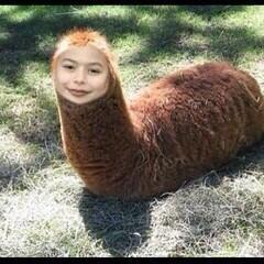 MIRANDARATCHET's tweet image. normal