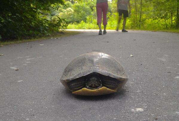 Selfie at Symphony Lake Greenway @TOC_Fun #caryntd