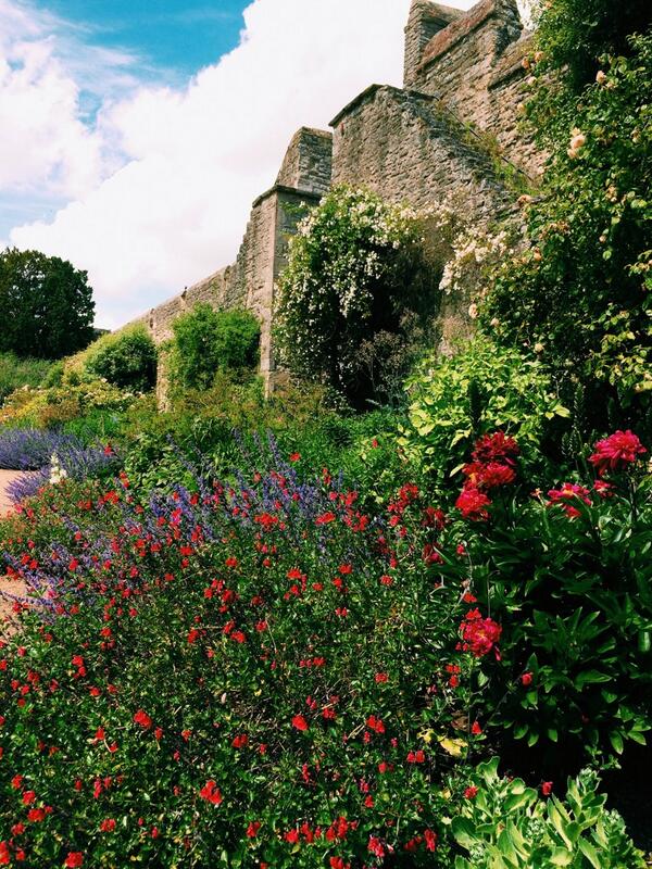 Daulton Hopkins tweet media