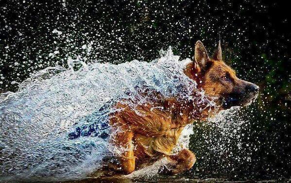 Embedded image permalink