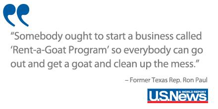 usnews's tweet photo. Rental goats: Coming to a city near you? http://t.co/WgiIp36xdC #VoteForTheGoats #urbanfarming http://t.co/hyoaiBwnkz