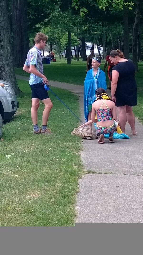 leneGuity's tweet image. #взаимно Нельзя смотреть на врага с омерзением — а вдруг понадобится его сожрать?