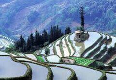 مناظر طبيعية خلابة من أرض الجنتين "اليمن السعيد" "