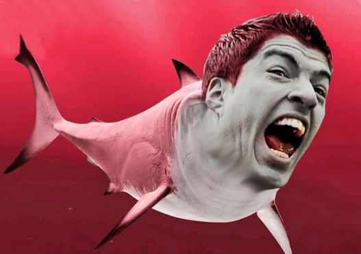 FootballFanCast's tweet photo. You are more likely to be bitten by Luis Suarez (1 in 2,000) than a shark (1 in 3,700,000) http://t.co/8fK1qzAL93 http://t.co/1fZUllFasD