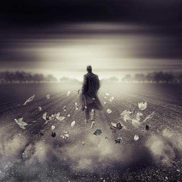 Permalien de l'image intégrée