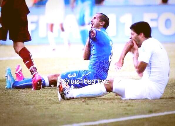 LFC Fans tweet media