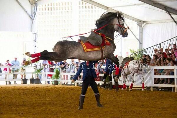 taurinadeevento's tweet photo. "El Arte de Andalucia a Caballo" el mejor espectaculo ecuestre-flamenco! @ubedabaezaturis @ubedarte @ubeda_twitt http://t.co/6MksEtZziH