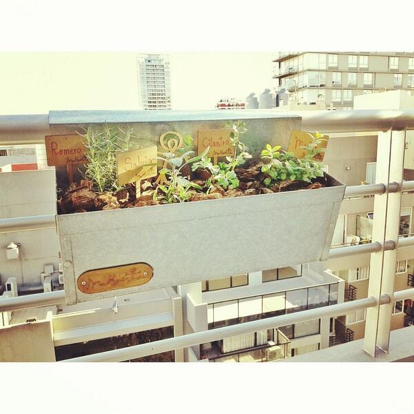 Llegaron las #huerbarandas! Tené tus aromáticas siempre a mano!
