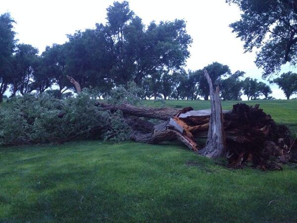 flink8285's tweet photo. Fun morning out at Ross Rogers!!  
#treesdown #bigmesstocleanup http://t.co/wCMwOdBuJ2