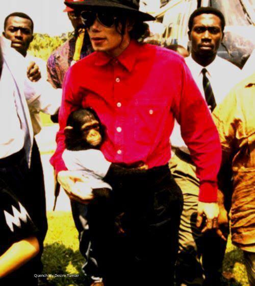 MJlove_1958's tweet image. Michael Jackson with baby Bubbles💕😍